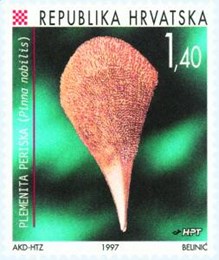 FAUNA HRVATSKOG PODRUČJA - PLEMENITA PERISKA