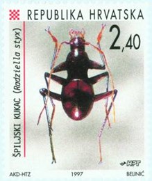 FAUNA HRVATSKOG PODRUČJA - RAĐIN ŠPILJSKI KUKAC