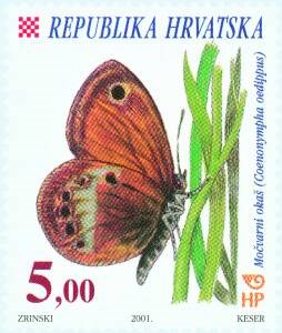 HRVATSKA FAUNA - LEPTIRI - MOČVARNI OKAŠ