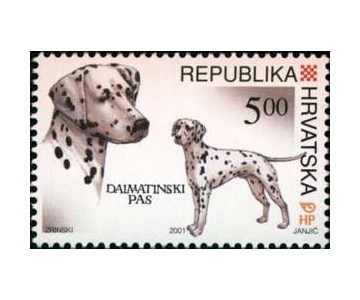 HRVATSKE AUTOHTONE PASMINE PASA - DALMATINSKI PAS