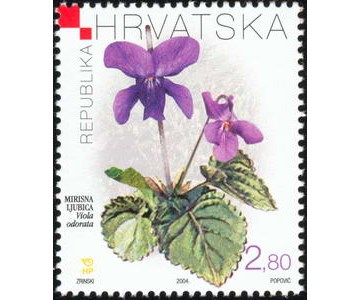 HRVATSKA FLORA - LJUBICA MIRISNA (Viola odorata)