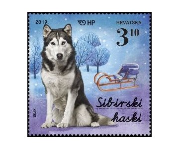DJEČJI SVIJET – KUĆNI LJUBIMCI, PSI 2 - Sibirski haski