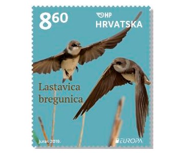 EUROPA – PTICE, Bregunica