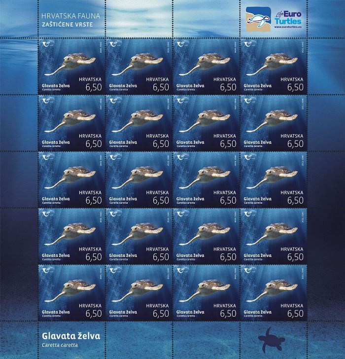 HRVATSKA FAUNA - GLAVATA ŽELVA