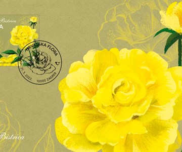 HRVATSKA FLORA – RUŽE