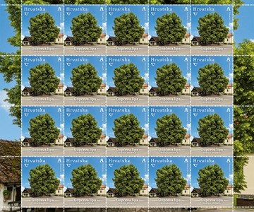 HRVATSKA FLORA – MONUMENTALNA STABLA HRVATSKE