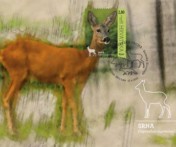 HRVATSKA FAUNA – ŠUMSKE ŽIVOTINJE