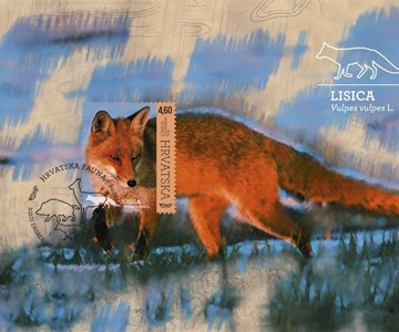 HRVATSKA FAUNA – ŠUMSKE ŽIVOTINJE