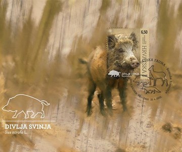 HRVATSKA FAUNA – ŠUMSKE ŽIVOTINJE