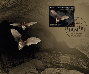 HRVATSKA FAUNA - ŠIŠMIŠI