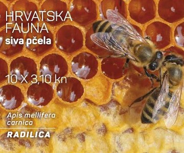HRVATSKA FAUNA – SIVA PČELA
