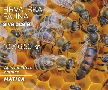 HRVATSKA FAUNA – SIVA PČELA