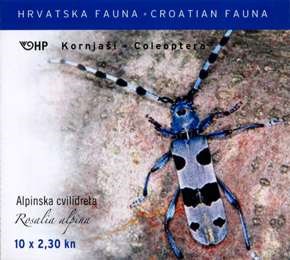 HRVATSKA FAUNA - Alpinska cvilidreta Rosalia alpina