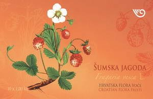 HRVATSKA FLORA - VOĆE