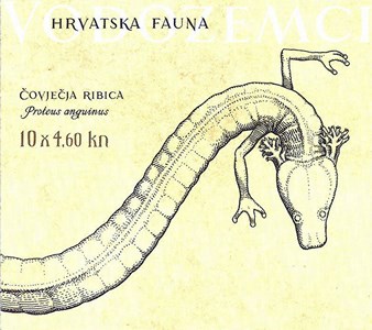 HRVATSKA FAUNA - VODOZEMCI