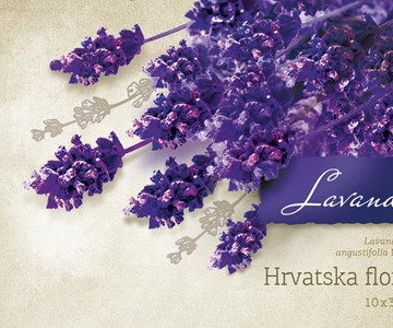 HRVATSKA FLORA