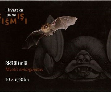 HRVATSKA FAUNA - ŠIŠMIŠI